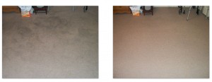 Before and after photos of soiled carpet