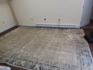 spot cleaning viscose and rayon area rugs