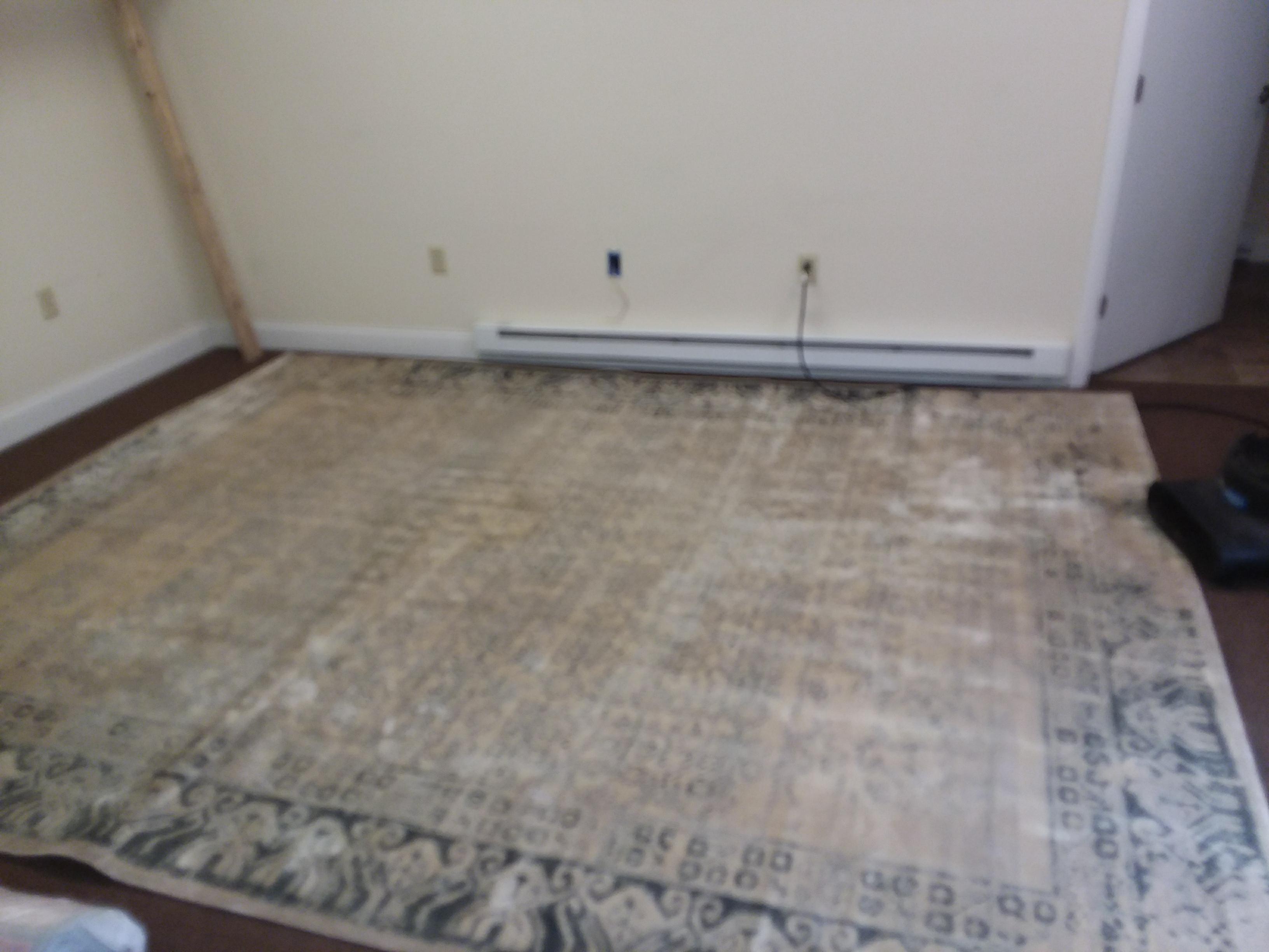 Important Spot Cleaning Tips for Viscose Area Rugs – Carpet ...